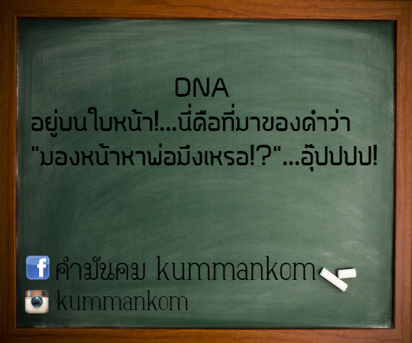 กลิตเตอร์ (Glitter) DNA 
อยู่บนใบหน้า!…นี่คือที่มาของคำว่า 
“มองหน้าหาพ่อมึงเหรอ!?”…อุ๊ปปปป! kummankom คำมันคม kummankom