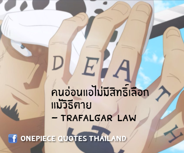 กลิตเตอร์ (Glitter) คนอ่อนแอไม่มีสิทธิิ์เลือก
แม้วิธีตาย
– Trafalgar  Law OnePiece Quotes Thailand