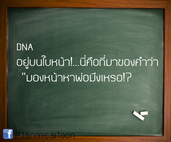 กลิตเตอร์ (Glitter) #Tonmicartoon DNA อยู่บนใบหน้า!…นี่คือที่มาของคำว่า “มองหน้าหาพ่อมึงเหรอ!?