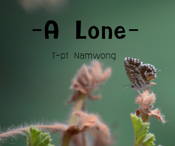 กลิตเตอร์ (Glitter) -A Lone- T-pt Namwong