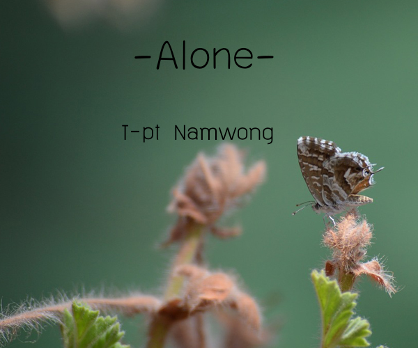 กลิตเตอร์ (Glitter) -Alone- T-pt Namwong