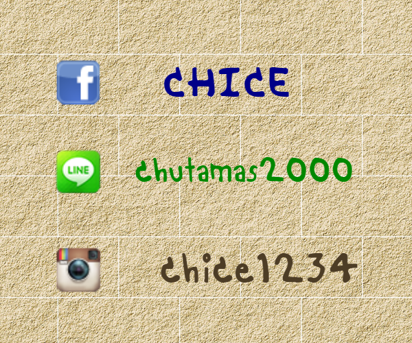 กลิตเตอร์ (Glitter) CHICE chutamas2000 chice1234