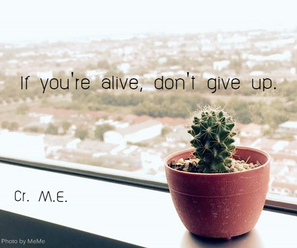 กลิตเตอร์ (Glitter) If you’re alive, don’t give up. Cr. M.E.